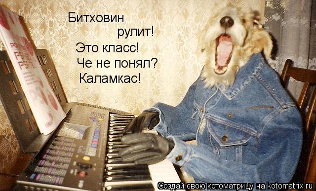 Битховин рулит! Это класс! Че не понял? Каламкас!... Котоматрица: Битховин рулит! Это класс! Че не понял? Каламкас!