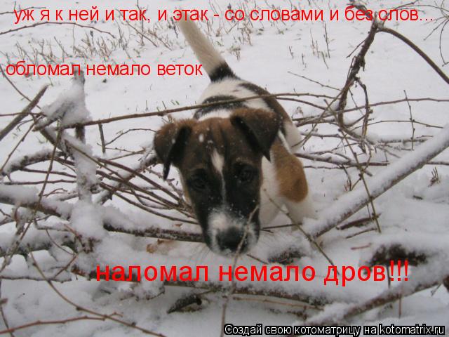 уж я к ней и так, и этак - со словами и без слов... обломал немало веток наломал немало дров!!!... Котоматрица: уж я к ней и так, и этак - со словами и без слов... обломал немало веток наломал немало дров!!!