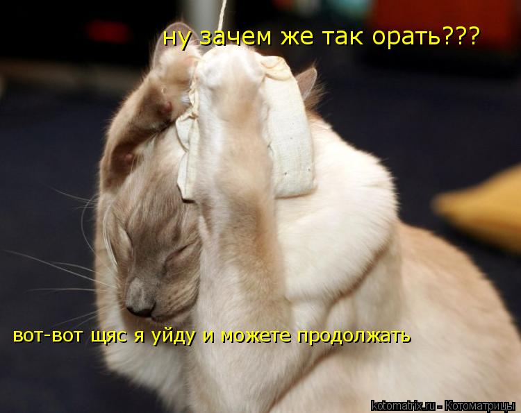 ну зачем же так орать??? вот-вот щяс я уйду и можете продолжать... Котоматрица: ну зачем же так орать??? вот-вот щяс я уйду и можете продолжать