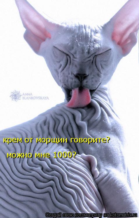 крем от морщин говорите? можно мне 1000?... Котоматрица: крем от морщин говорите? можно мне 1000?