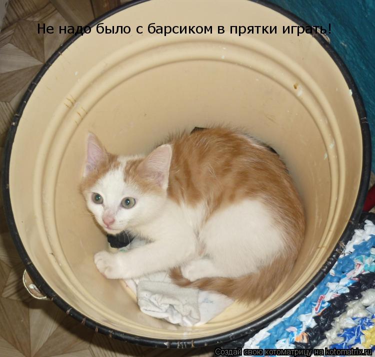 Не надо было с барсиком в прятки играть!... Котоматрица: Не надо было с барсиком в прятки играть!