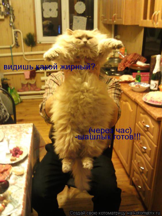 видишь какой жирный? (через час) -шашлык готов!!!... Котоматрица: видишь какой жирный? (через час) -шашлык готов!!!
