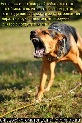 Если владелец бойцовой собаки считает, что её можно выгуливать без намордника то находящимся рядом лю... Котоматрица: Если владелец бойцовой собаки считает, что её можно выгуливать без намордника то находящимся рядом людям разрешается держать в руке огнес