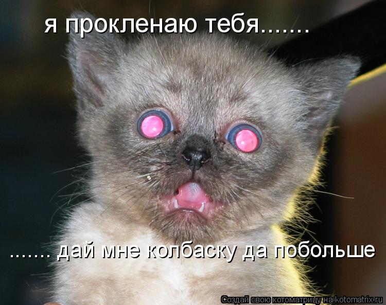 я прокленаю тебя....... ....... дай мне колбаску да побольше... Котоматрица: я прокленаю тебя....... ....... дай мне колбаску да побольше