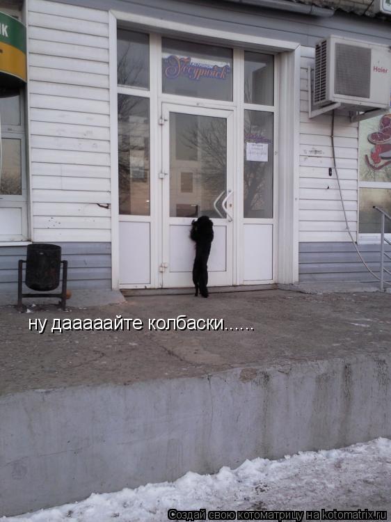 ну дааааайте колбаски......... Котоматрица: ну дааааайте колбаски......