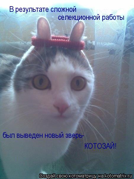 В результате сложной селекционной работы был выведен новый зверь- КОТОЗАЙ!... Котоматрица: В результате сложной селекционной работы был выведен новый зверь- КОТОЗАЙ!