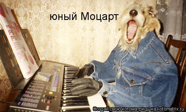юный Моцарт... Котоматрица: юный Моцарт