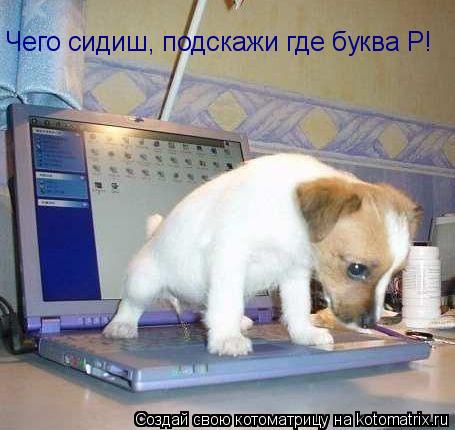 Чего сидиш, подскажи где буква Р!... Котоматрица: Чего сидиш, подскажи где буква Р!