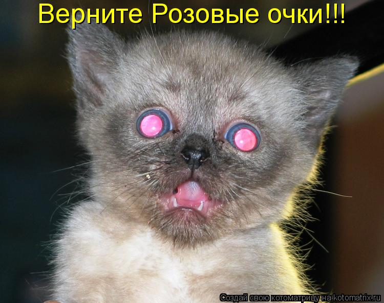 Верните Розовые очки!!!... Котоматрица: Верните Розовые очки!!!
