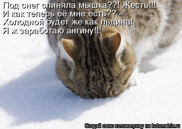 Под снег слиняла мышка??! Жесть!!! И как теперь её мне есть?? - Холодной будет же как льдина! Я ж зар... Котоматрица: Под снег слиняла мышка??! Жесть!!! И как теперь её мне есть?? - Холодной будет же как льдина! Я ж заработаю ангину!!!