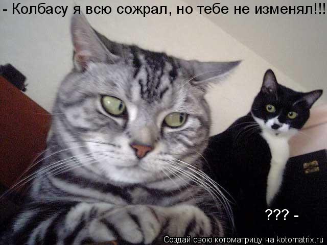 ??? - - Колбасу я всю сожрал, но тебе не изменял!!!... Котоматрица: ??? - - Колбасу я всю сожрал, но тебе не изменял!!!