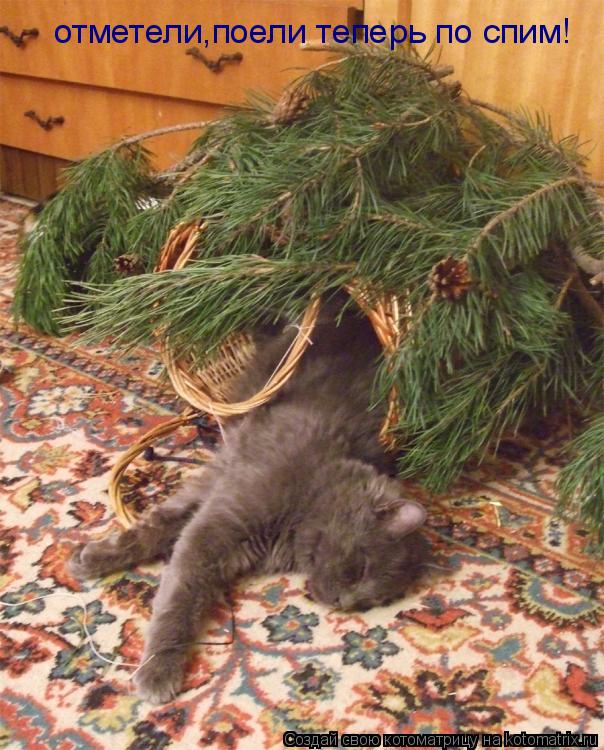 отметели,поели теперь по спим!... Котоматрица: отметели,поели теперь по спим!