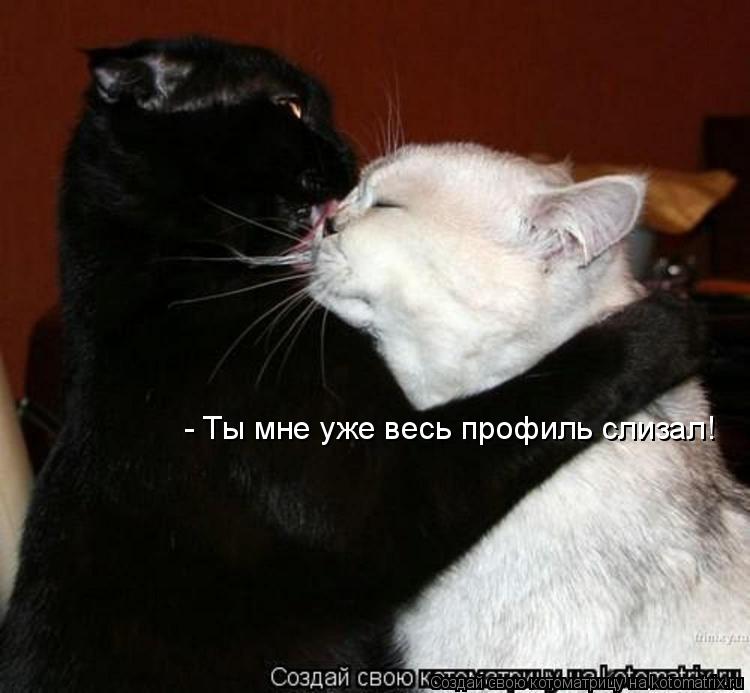 - Ты мне уже весь профиль слизал!... Котоматрица: - Ты мне уже весь профиль слизал!