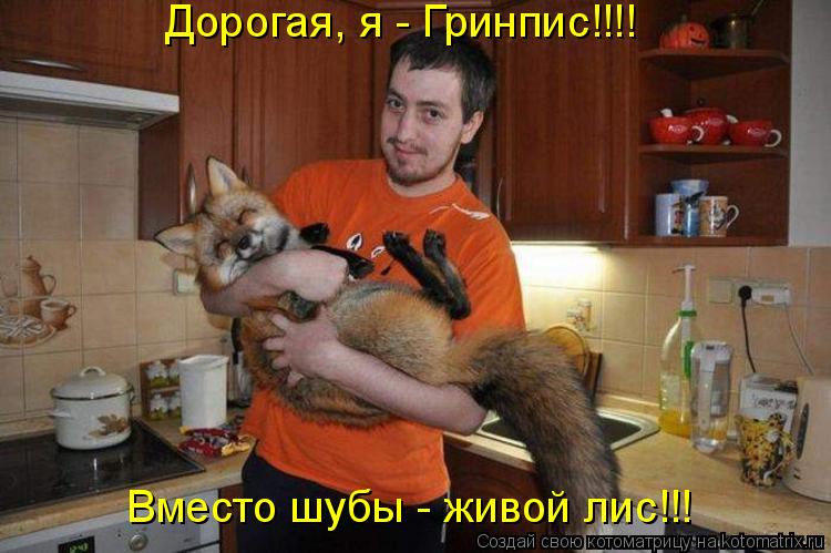 Вместо шубы - живой лис!!! Дорогая, я - Гринпис!!!!... Котоматрица: Вместо шубы - живой лис!!! Дорогая, я - Гринпис!!!!