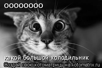 оооооооо какой большой холодильник... Котоматрица: оооооооо какой большой холодильник