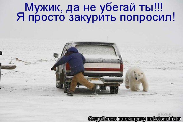 Мужик, да не убегай ты!!! Я просто закурить попросил!... Котоматрица: Мужик, да не убегай ты!!! Я просто закурить попросил!