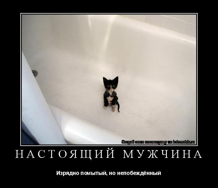 НАСТОЯЩИЙ МУЖЧИНА Изрядно помытый, но непобеждённый... Котоматрица: НАСТОЯЩИЙ МУЖЧИНА Изрядно помытый, но непобеждённый