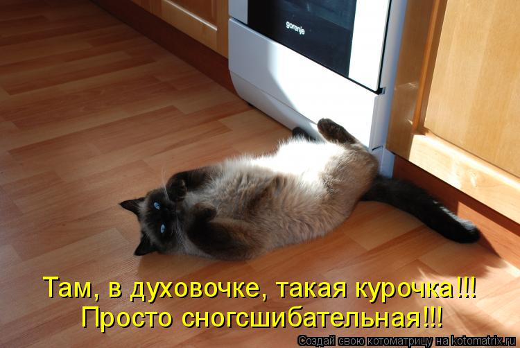Там, в духовочке, такая курочка!!! Просто сногсшибательная!!!... Котоматрица: Там, в духовочке, такая курочка!!! Просто сногсшибательная!!!