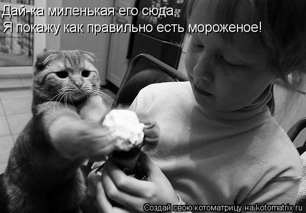 Дай-ка миленькая его сюда. Я покажу как правильно есть мороженое!... Котоматрица: Дай-ка миленькая его сюда. Я покажу как правильно есть мороженое!