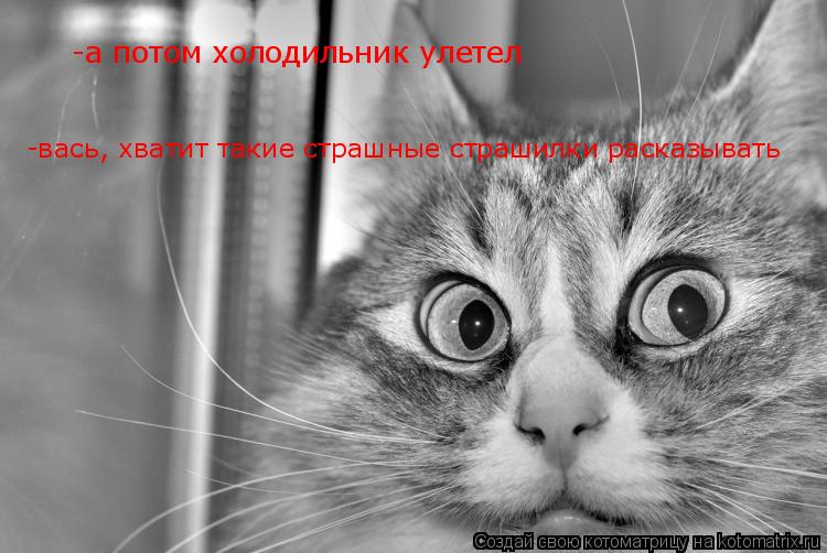 -а потом холодильник улетел -вась, хватит такие страшные страшилки расказывать... Котоматрица: -а потом холодильник улетел -вась, хватит такие страшные страшилки расказывать