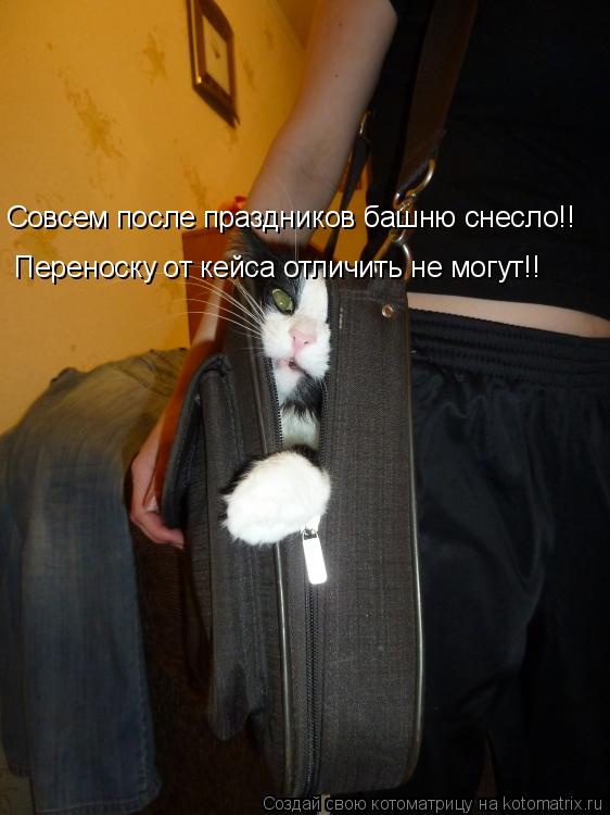 Совсем после праздников башню снесло!! Переноску от кейса отличить не могут!!... Котоматрица: Совсем после праздников башню снесло!! Переноску от кейса отличить не могут!!