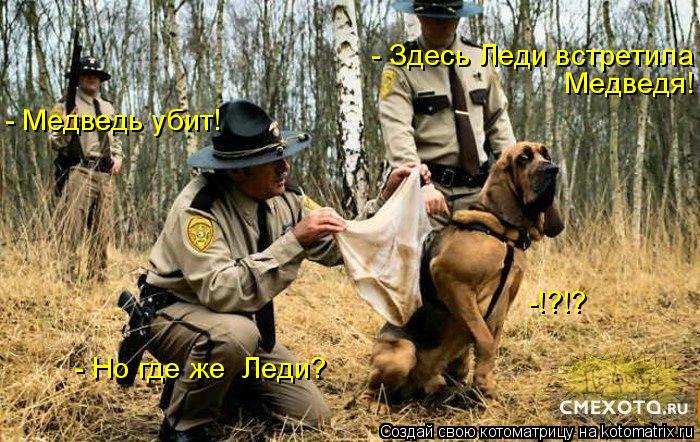 - Медведь убит! - Но где же Леди? Медведя! - Здесь Леди встретила -!?!?... Котоматрица: - Медведь убит! - Но где же Леди? Медведя! - Здесь Леди встретила -!?!?