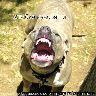 Улыбка нувориши...... Котоматрица: Улыбка нувориши...
