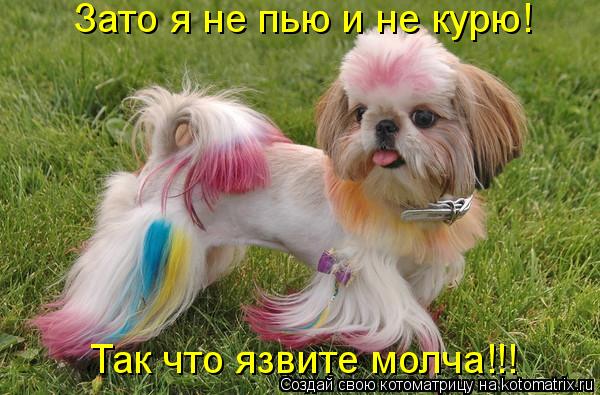 Зато я не пью и не курю! Так что язвите молча!!!... Котоматрица: Зато я не пью и не курю! Так что язвите молча!!!
