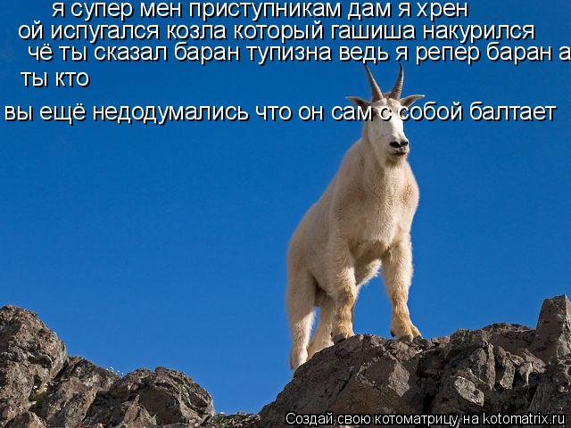 я супер мен приступникам дам я хрен ой испугался козла который гашиша накурился ты кто чё ты сказал... Котоматрица: я супер мен приступникам дам я хрен ой испугался козла который гашиша накурился ты кто чё ты сказал баран тупизна ведь я репер баран а ты к