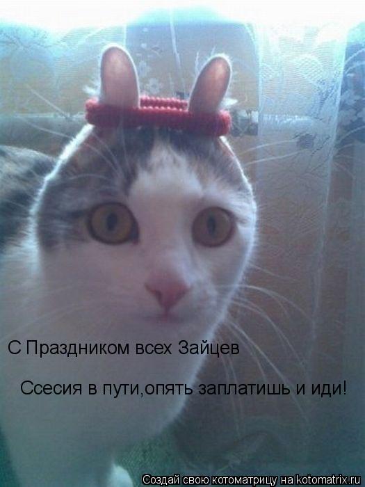 С Праздником всех Зайцев Ссесия в пути,опять заплатишь и иди!... Котоматрица: С Праздником всех Зайцев Ссесия в пути,опять заплатишь и иди!