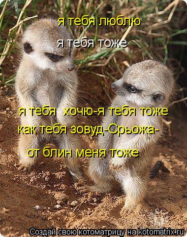 я тебя люблю я тебя тоже я тебя хочю-я тебя тоже как тебя зовуд-Срьожа- от блин меня тоже... Котоматрица: я тебя люблю я тебя тоже я тебя хочю-я тебя тоже как тебя зовуд-Срьожа- от блин меня тоже