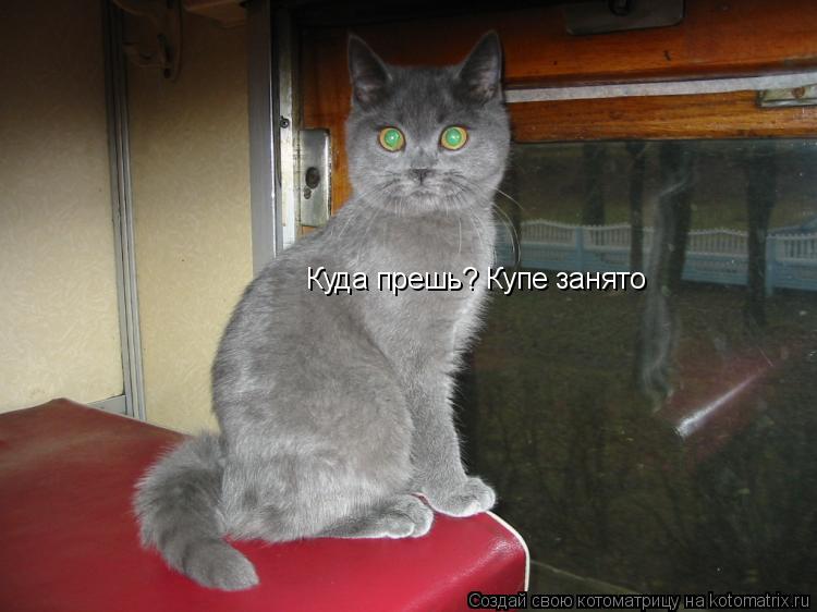 Куда прешь? Купе занято... Котоматрица: Куда прешь? Купе занято