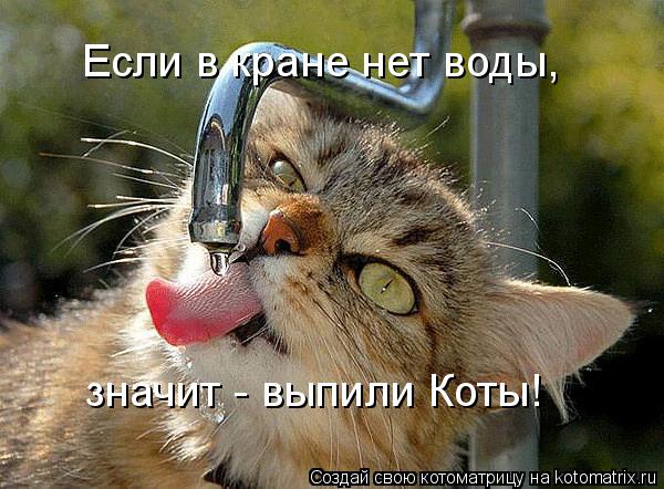 Котоматрица: Если в кране нет воды, значит - выпили Коты!
