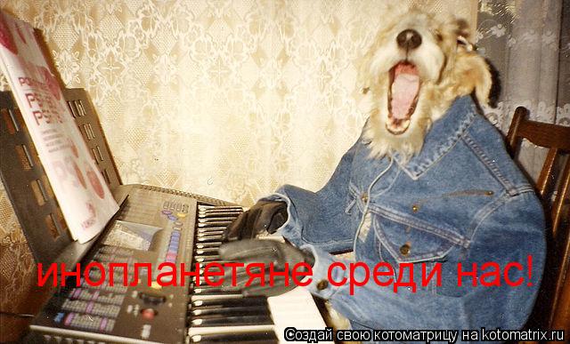 инопланетяне среди нас!... Котоматрица: инопланетяне среди нас!
