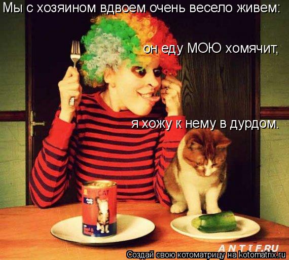 Мы с хозяином вдвоем очень весело живем: он еду МОЮ хомячит, я хожу к нему в дурдом.... Котоматрица: Мы с хозяином вдвоем очень весело живем: он еду МОЮ хомячит, я хожу к нему в дурдом.