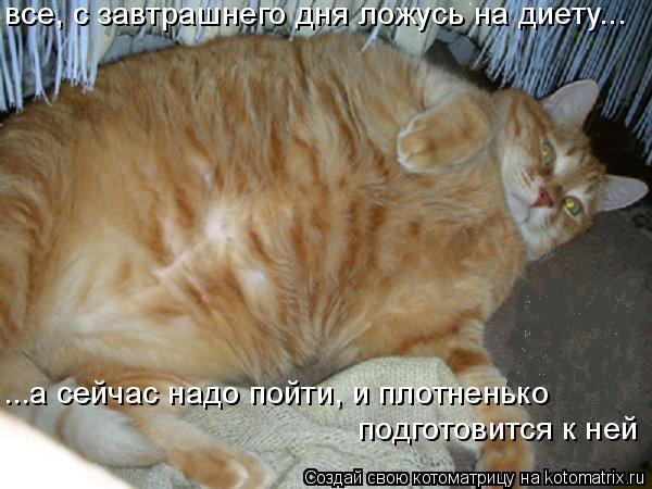 все, с завтрашнего дня ложусь на диету... ...а сейчас надо пойти, и плотненько подготовится к ней... Котоматрица: все, с завтрашнего дня ложусь на диету... ...а сейчас надо пойти, и плотненько подготовится к ней