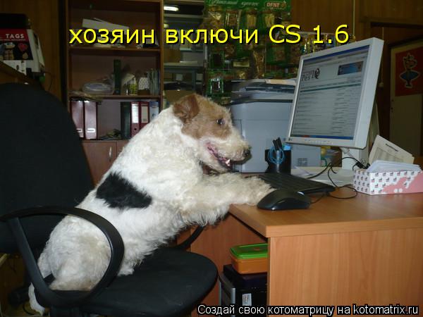 хозяин включи CS 1.6... Котоматрица: хозяин включи CS 1.6
