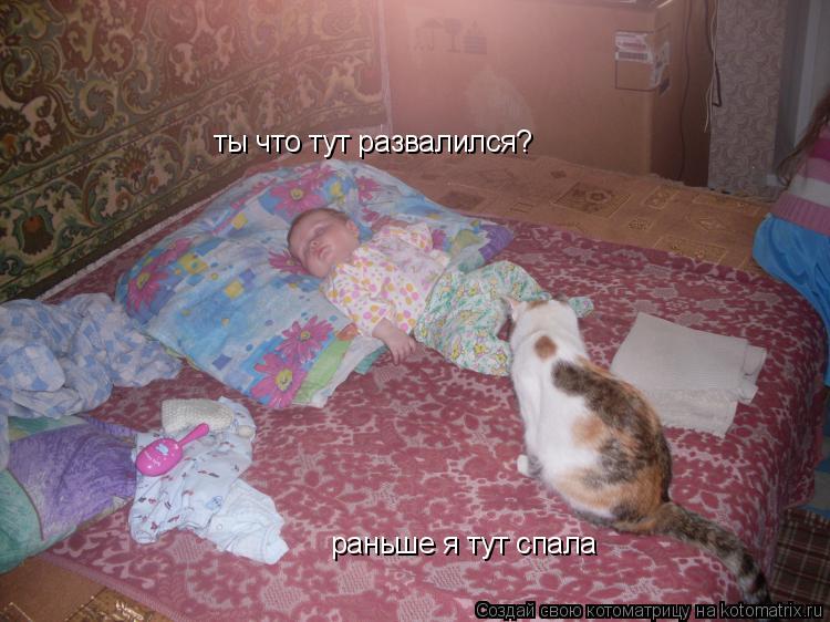 ты что тут развалился? раньше я тут спала... Котоматрица: ты что тут развалился? раньше я тут спала