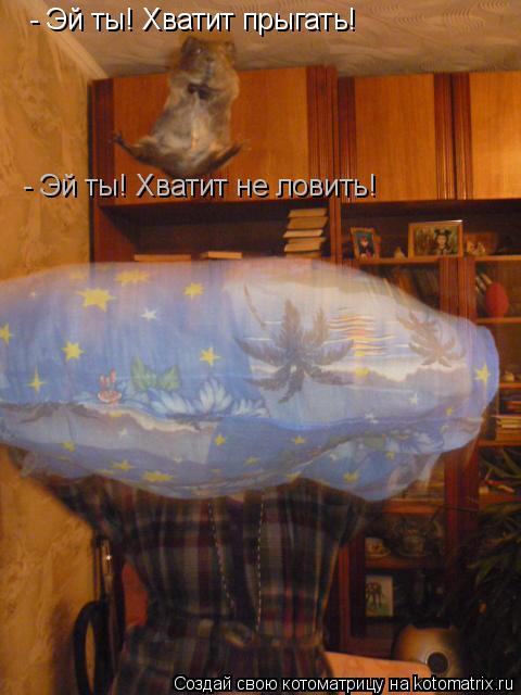 - Эй ты! Хватит прыгать! - Эй ты! Хватит не ловить!... Котоматрица: - Эй ты! Хватит прыгать! - Эй ты! Хватит не ловить!