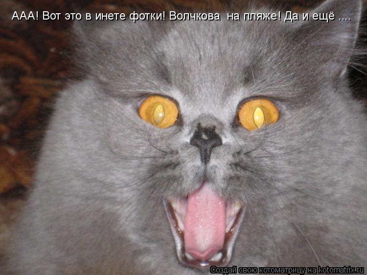 ААА! Вот это в инете фотки! Волчкова на пляже! Да и ещё ....... Котоматрица: ААА! Вот это в инете фотки! Волчкова на пляже! Да и ещё ....