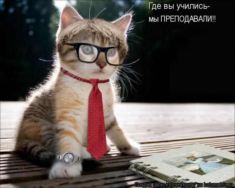 Где вы учились- мы ПРЕПОДАВАЛИ!!... Котоматрица: Где вы учились- мы ПРЕПОДАВАЛИ!!