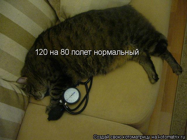 120 на 80 полет нормальный... Котоматрица: 120 на 80 полет нормальный