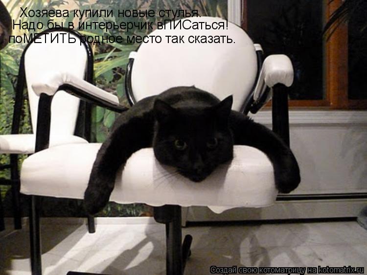 Хозяева купили новые стулья. Надо бы в интерьерчик вПИСаться! поМЕТИТЬ родное место так сказать.... Котоматрица: Хозяева купили новые стулья. Надо бы в интерьерчик вПИСаться! поМЕТИТЬ родное место так сказать.