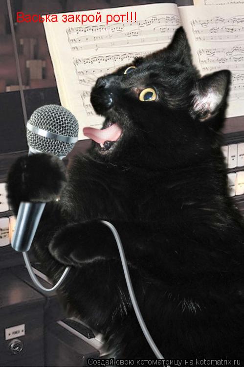 Котоматрица: Васька закрой рот!!!