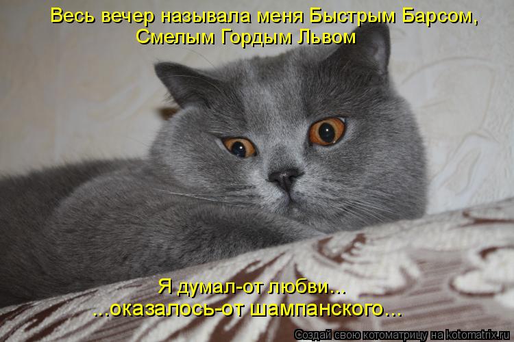 Котоматрица: Весь вечер называла меня Быстрым Барсом, Смелым Гордым Львом Я думал-от любви... ...оказалось-от шампанского...