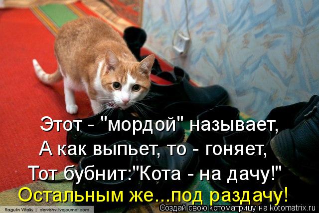 Остальным же...под раздачу! Этот - "мордой" называет, А как выпьет, то - гоняет, Тот бубнит:"Кота - н... Котоматрица: Остальным же...под раздачу! Этот - "мордой" называет, А как выпьет, то - гоняет, Тот бубнит:"Кота - на дачу!"