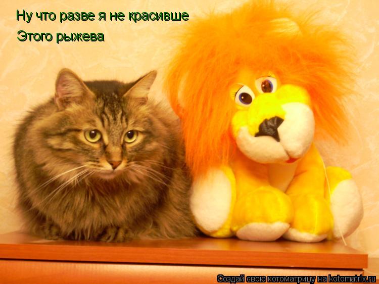 Ну что разве я не красивше Этого рыжева... Котоматрица: Ну что разве я не красивше Этого рыжева