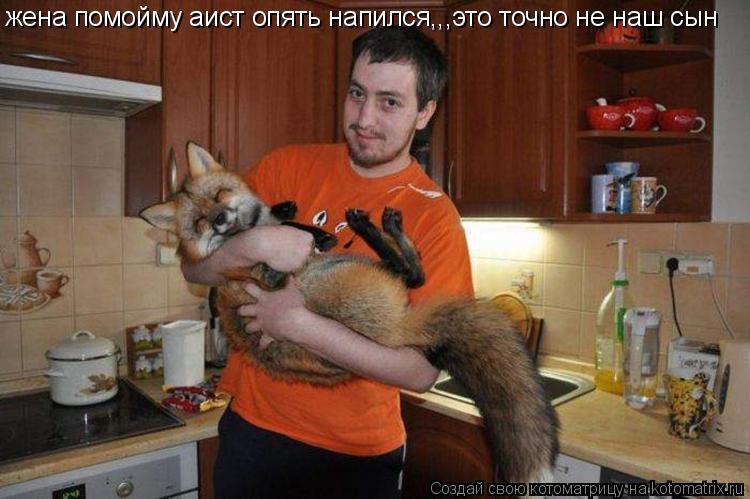 жена помойму аист опять напился,,,это точно не наш сын... Котоматрица: жена помойму аист опять напился,,,это точно не наш сын