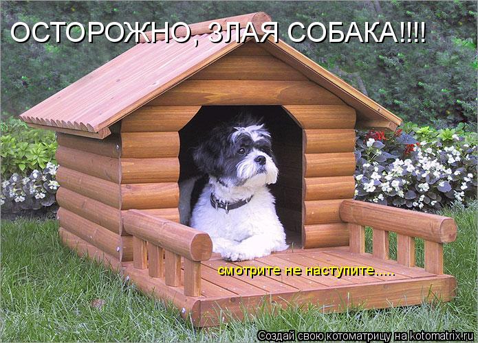 ОСТОРОЖНО, ЗЛАЯ СОБАКА!!!! смотрите не наступите........ Котоматрица: ОСТОРОЖНО, ЗЛАЯ СОБАКА!!!! смотрите не наступите.....