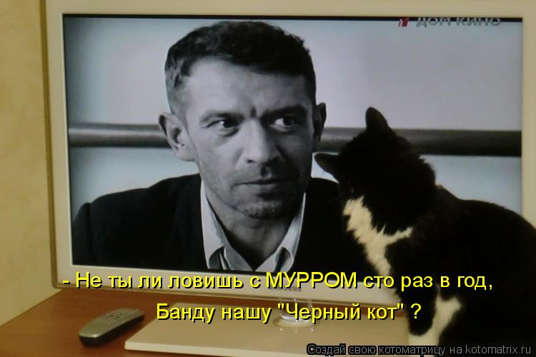 Котоматрица: - Не ты ли ловишь с МУРРОМ сто раз в год, Банду нашу "Черный кот" ?